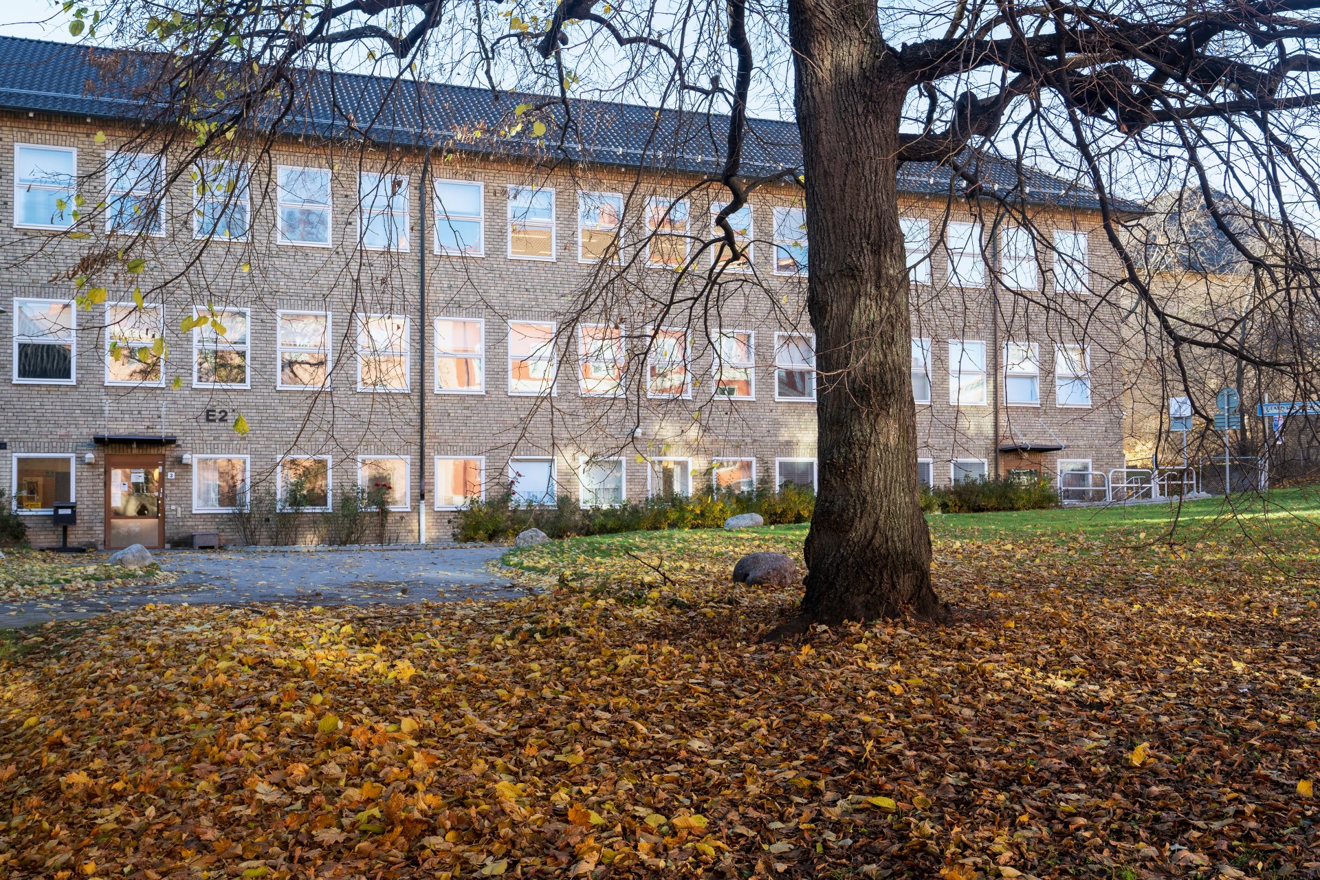 Thorildplans gymnasiums skolbyggnad.